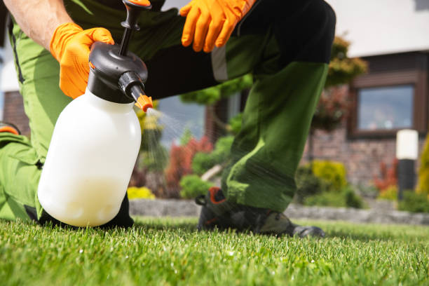 Best Commercial Pest Control Services  in Hazlehurst, MS