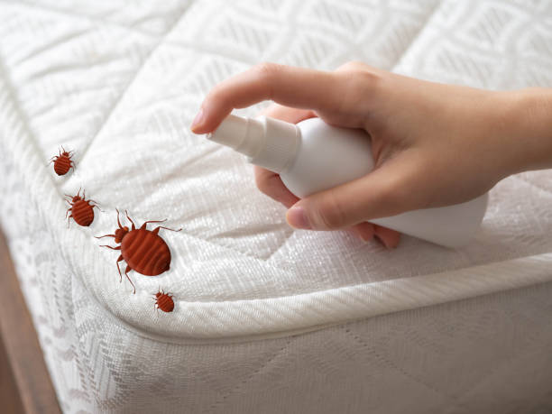 Best Pest Removal Services  in Hazlehurst, MS