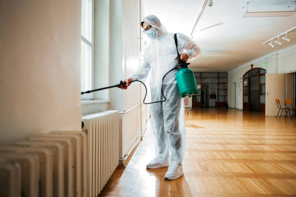 Best Affordable Pest Control Services  in Hazlehurst, MS